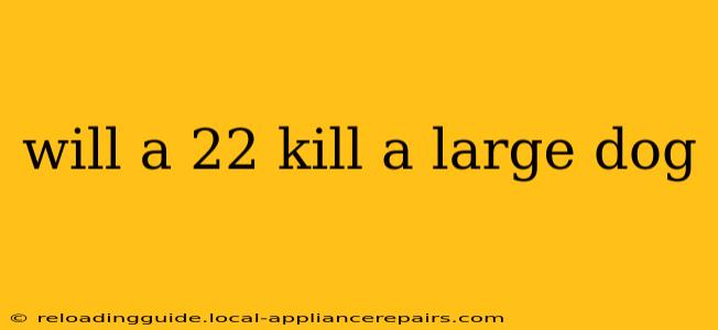 will a 22 kill a large dog