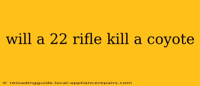 will a 22 rifle kill a coyote