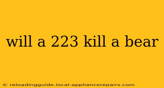 will a 223 kill a bear