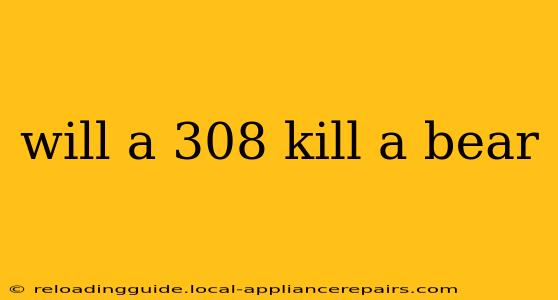 will a 308 kill a bear