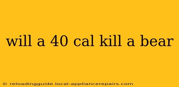 will a 40 cal kill a bear