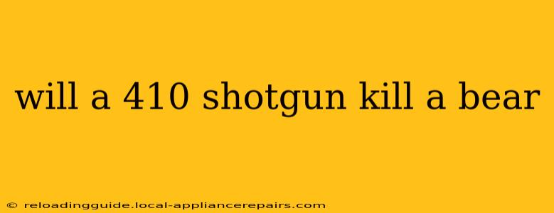 will a 410 shotgun kill a bear