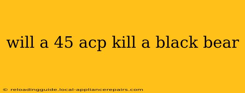 will a 45 acp kill a black bear