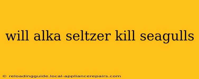 will alka seltzer kill seagulls