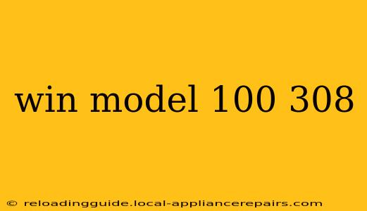 win model 100 308