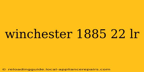 winchester 1885 22 lr