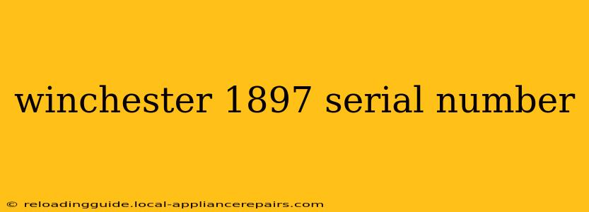 winchester 1897 serial number