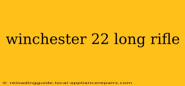 winchester 22 long rifle