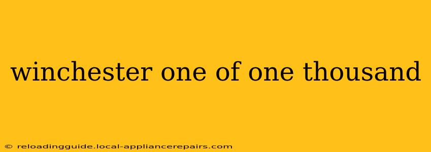 winchester one of one thousand
