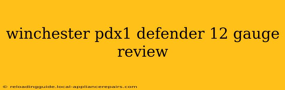 winchester pdx1 defender 12 gauge review