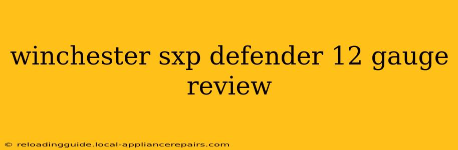 winchester sxp defender 12 gauge review