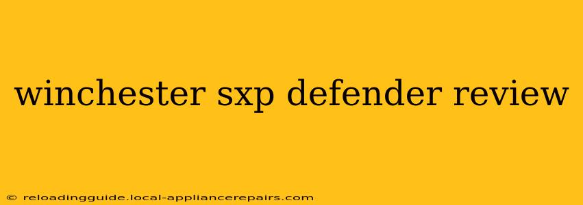 winchester sxp defender review