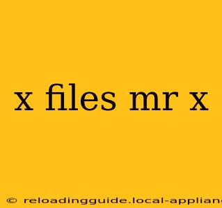 x files mr x