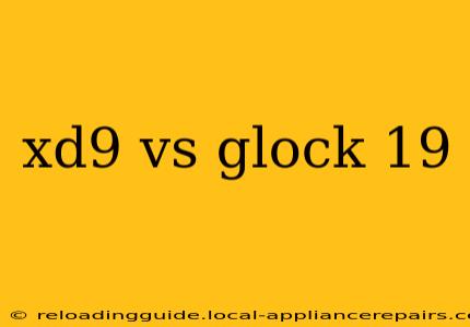 xd9 vs glock 19